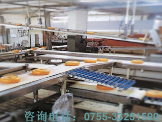 Light climbing belt conveyor